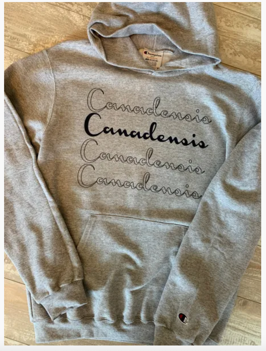 Champ Repeat Tee/Hoodie