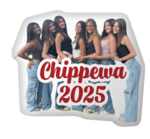 Cut Out Photo Pillow